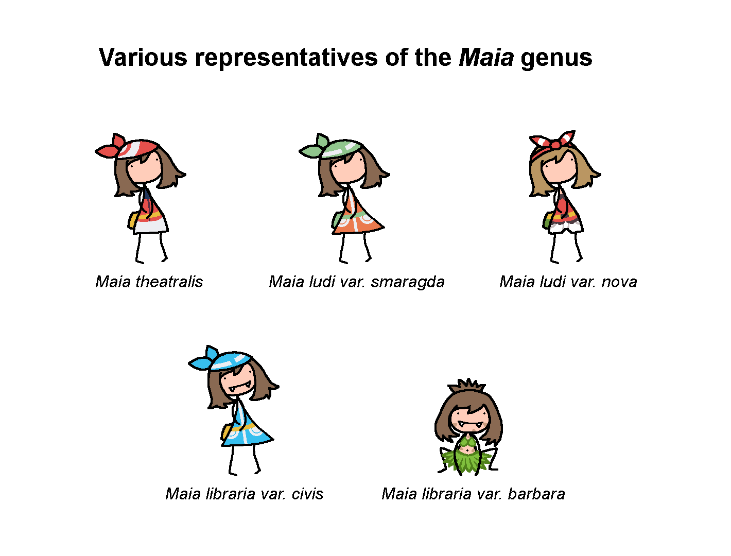 various representatives of the maia genus various representatives of the maia genus
